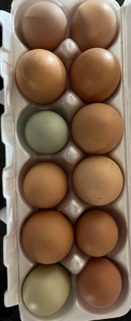 Little things that matter