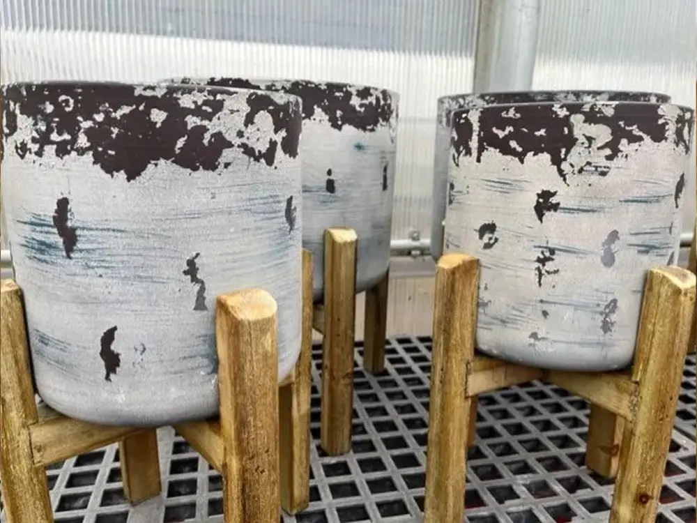 Winter themed plant pots Norfolk, NE