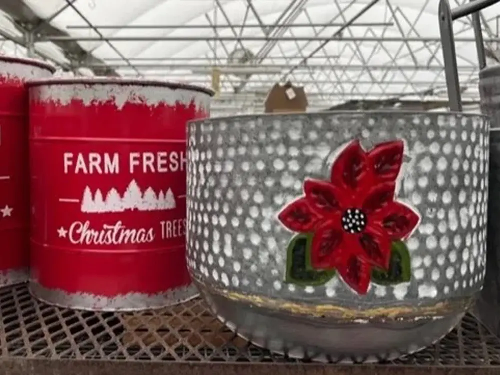 Personalized plant pots