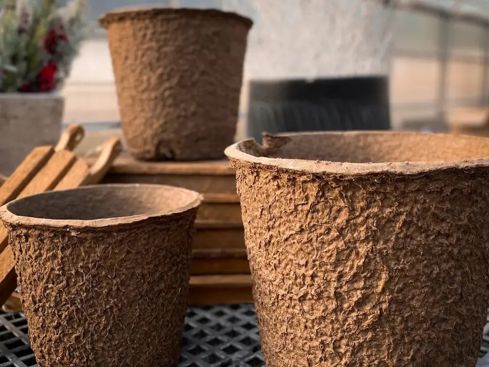 Plant pots Norfolk, NE