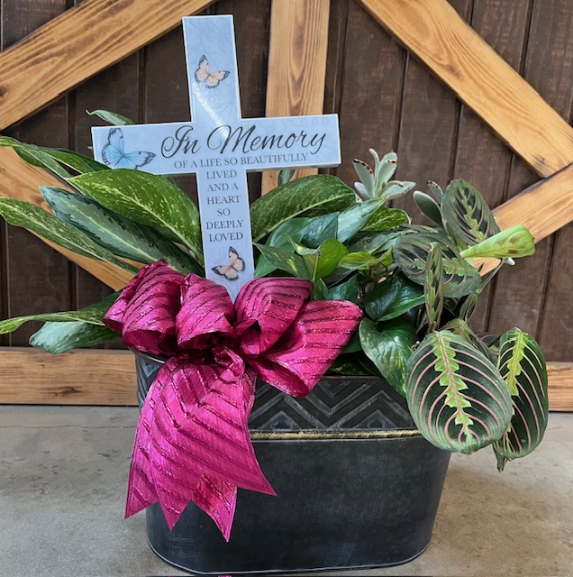 Memorial Display