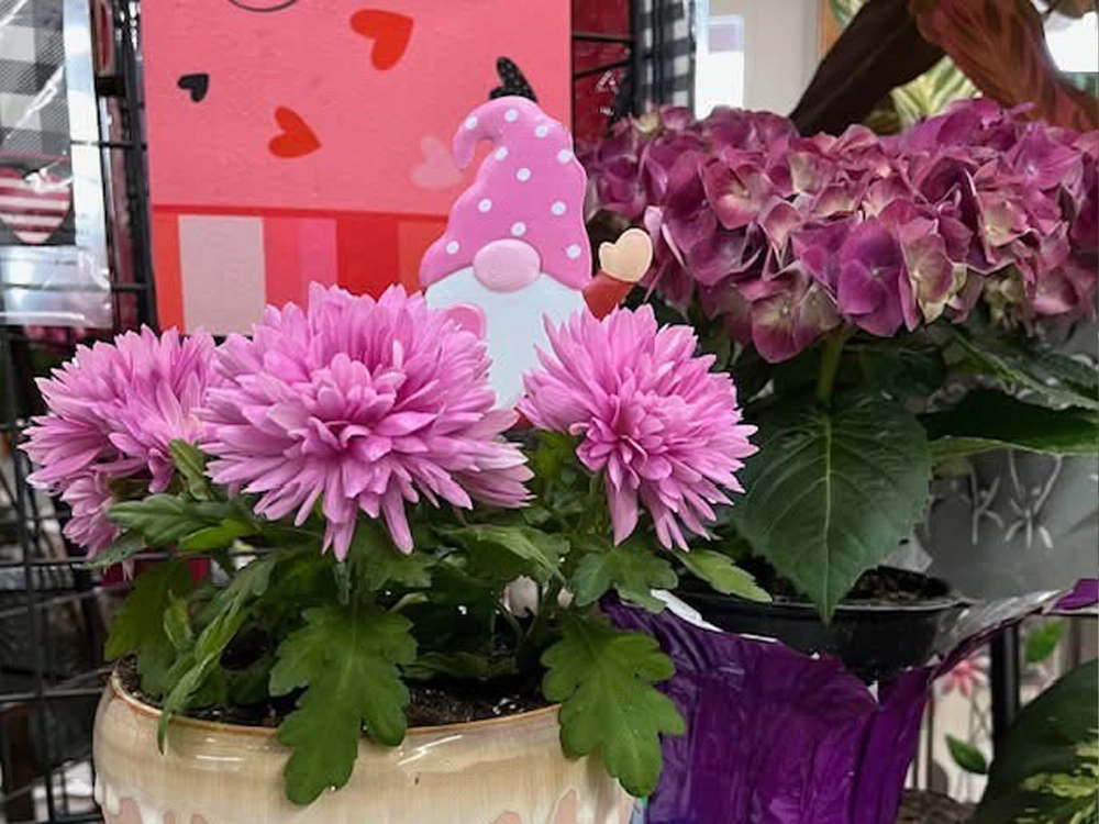 bright blooming flowers