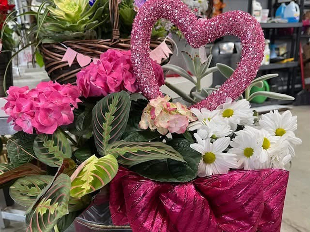 spring flowers